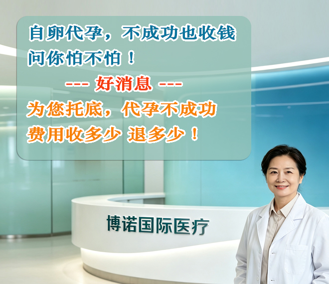 供卵代孕